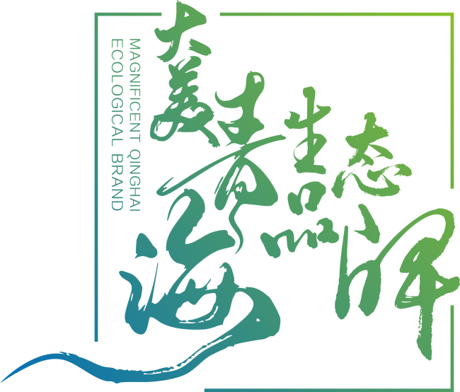 1755861363-c645ede7567f8f0 1755861363-c645ede7567f8f0